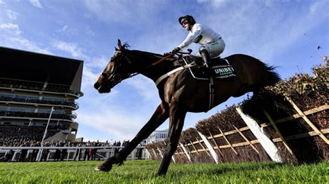 aintree races 2023 tips|Aintree tips 2023, day 1: The 7 best bets on .